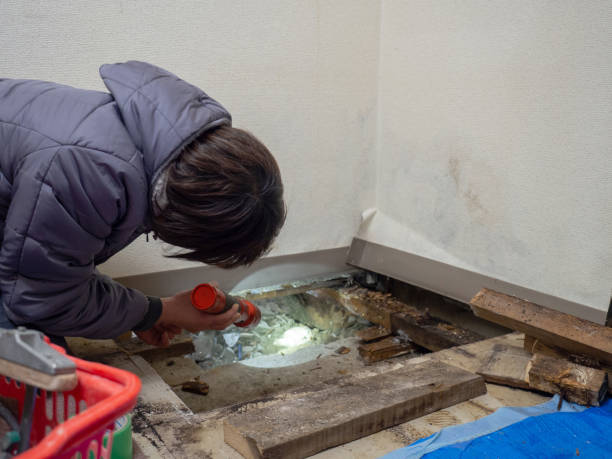 Best Environmental Consulting for Mold Prevention  in Mcminnville, OR