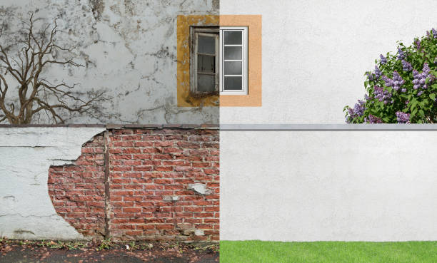 Best Forensic Mold Investigation  in Mcminnville, OR